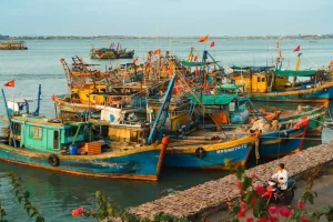 Nội Thất Gỗ Gõ Đỏ: Sang Trọng, Bền Đẹp, Giao Tận Nơi
